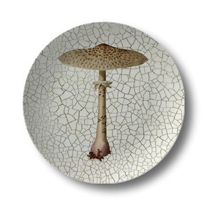 Mushroom Dinner Plates, Botanical Dishes, Indoor/Outdoor Dinnerware, Woodland Tableware, Woodsy Kitchen Decor #932