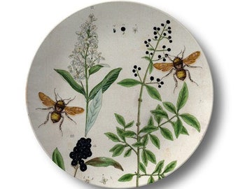 Vintage Botanical Dinner Plates,bee dishes,microwave oven safe,herb art plates,garden party dishes,durable indoor/outdoor dinnerware #787