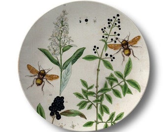 Bee & Botanical Dinner Plate: Vintage Herb Kitchen Decor, Made in USA #787