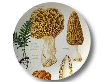 Mushroom Dinner Plates,durable indoor/outdoor dinnerware,woodland,vintage botanical tableware,woodsy tablesetting,kitchen wall decor #710