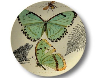 Butterfly Dinner Plates,durable indoor/outdoor dinnerware,green butterflies,woodland tableware,microwave/dishwasher safe #711