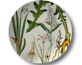 Vintage Botanical Dinner Plates,durable indoor/outdoor dinnerware,Decoware™ tableware,kitchen wall decor #838