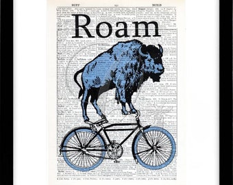 bluebikebook