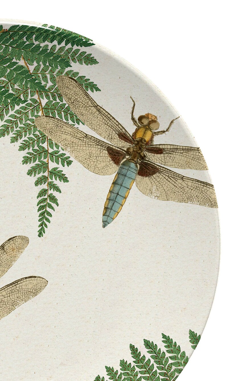 Dragonfly & Fern Dinner Plate,woodland dinnerware,vintage botanical dishes,durable indoor/outdoor plate 982 image 5