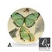 Butterfly Art Dinner Plates,ThermoSāf® dinnerware,green butterflies,bee plates,frog art plates,woodland tableware,microwave safe dishes #711 