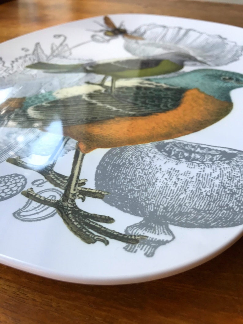Botanical Dinner Platesbird Art Dinnerwarethermosāf® Etsy
