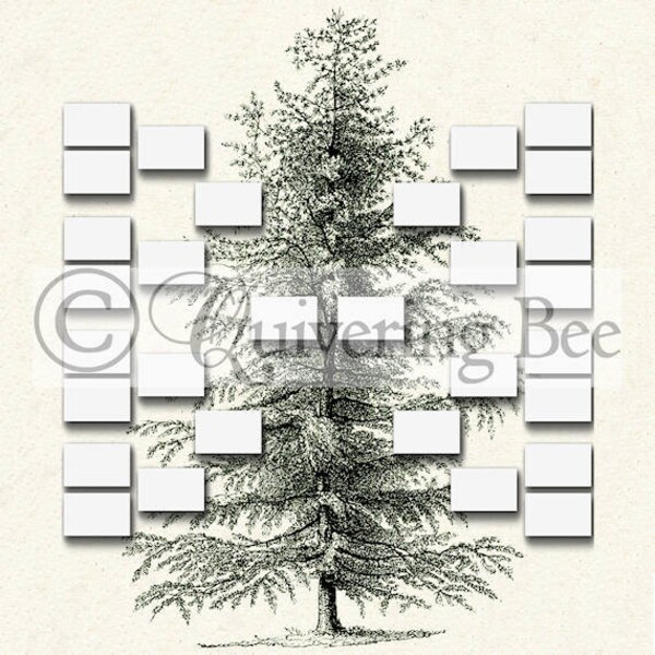 Ancestry Chart - Etsy