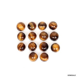 Pu&ograve; includere: Una collezione di 15 cabochon rotondi in occhio di tigre lucidati. Le pietre sono un mix di marrone dorato e marrone con un leggero bagliore.