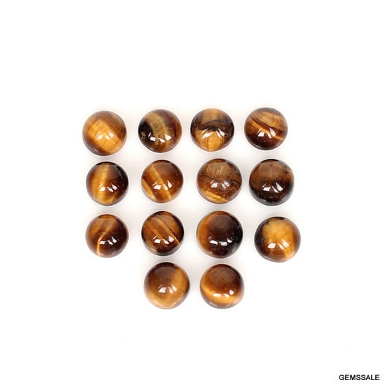 Pu&ograve; includere: Una collezione di 15 cabochon rotondi in occhio di tigre lucidati. Le pietre sono un mix di marrone dorato e marrone con un leggero bagliore.