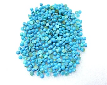10 Arizona Turquoise Cabochons: 1mm Round Gemstone Beads