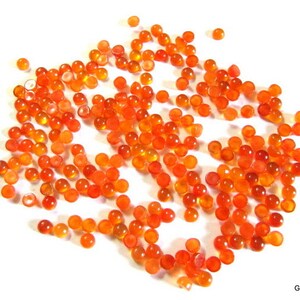 May include: A large group of small, round, orange carnelian cabochons. The cabochons are scattered on a white surface.