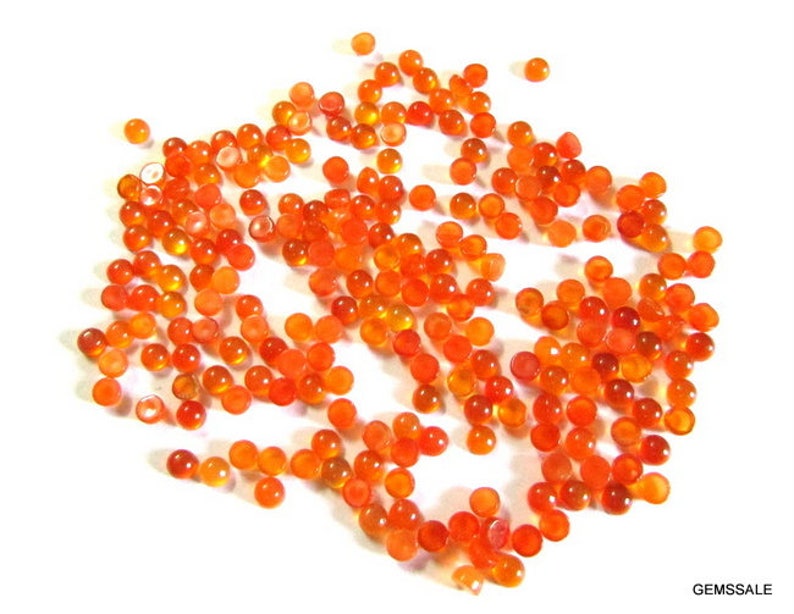 May include: A large group of small, round, orange carnelian cabochons. The cabochons are scattered on a white surface.
