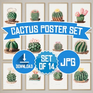 Vintage Kaktus Poster Set – 14 botanische Kunstdrucke als Digitaler Download, Kaktus Dekoration Wohnkultur, Pflanzendrucke zum Ausdrucken