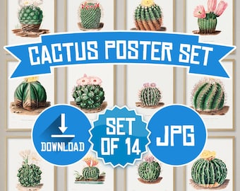 Vintage Cactus Poster Set – 14 Botanical Prints Digital Download, Cactus Wall Art, Desert Decor, Printable Plant Prints