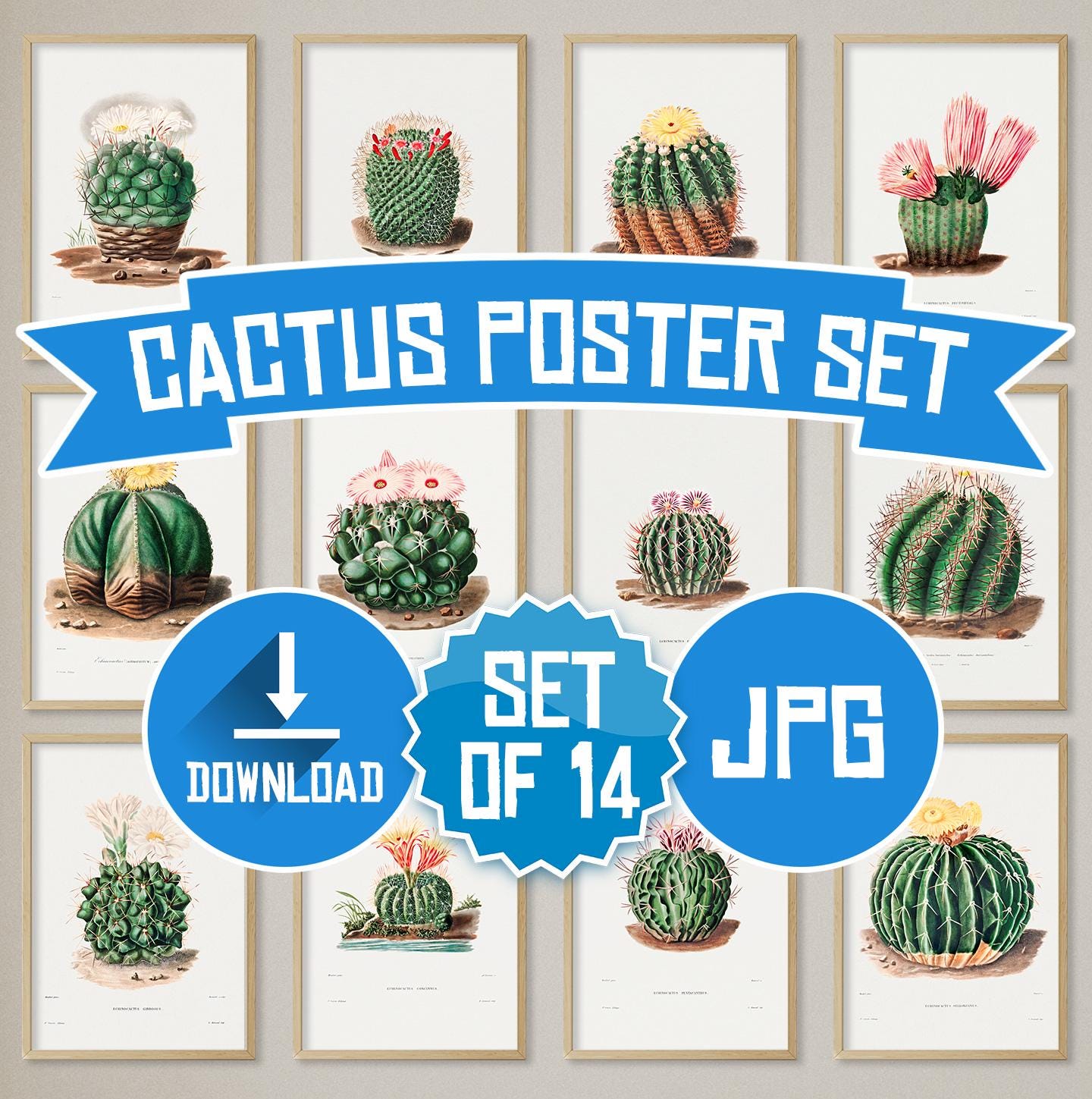 Kaktus poster - Etsy.de