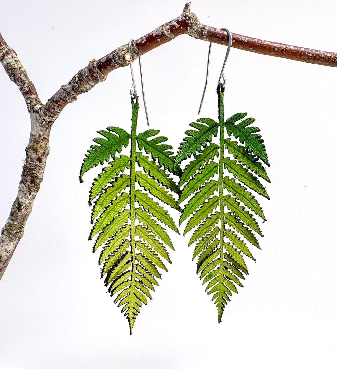 Fern Leaf Mixed Post Earrings main image 1
