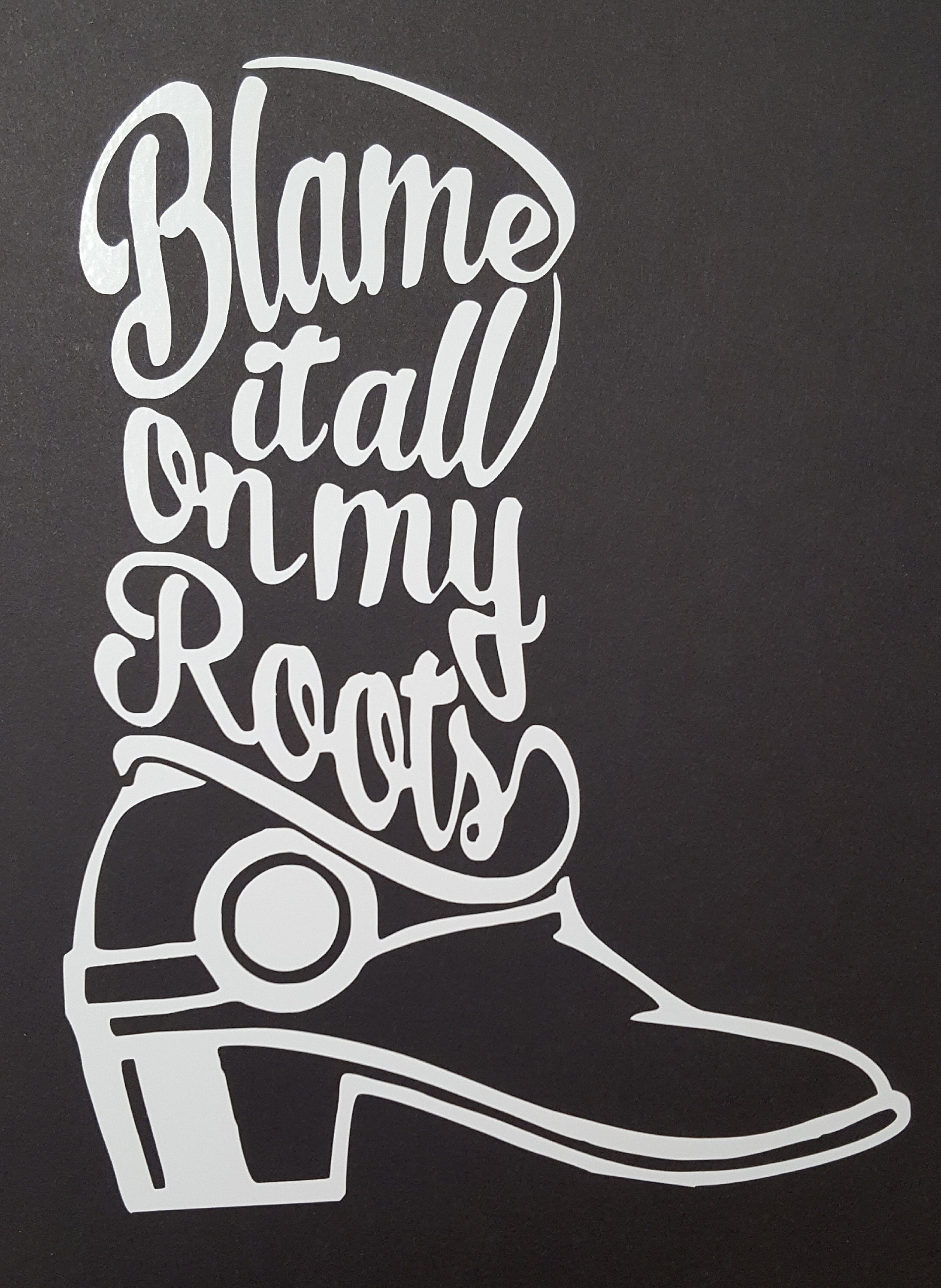 Blame It All On My Roots Blame It All On My Roots