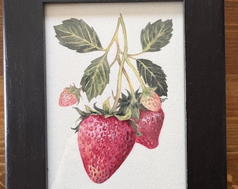 ORIGINAL Framed Watercolor Painting | "Les Fraises" | Subtle OUTLANDER Fan Art Painting