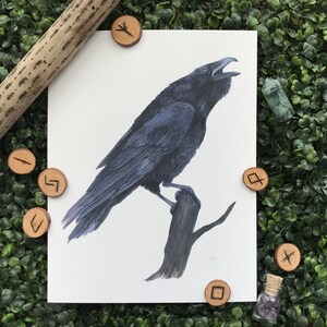 ODIN RAVEN Painting I  8.5&quot; x 11&quot; Print Norse Mythology Huginn Muninn
