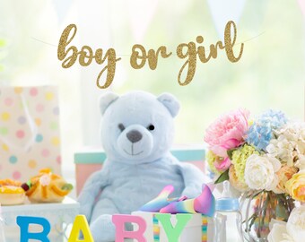 Glitter Boy or Girl Banner, Gender Reveal, Baby Shower