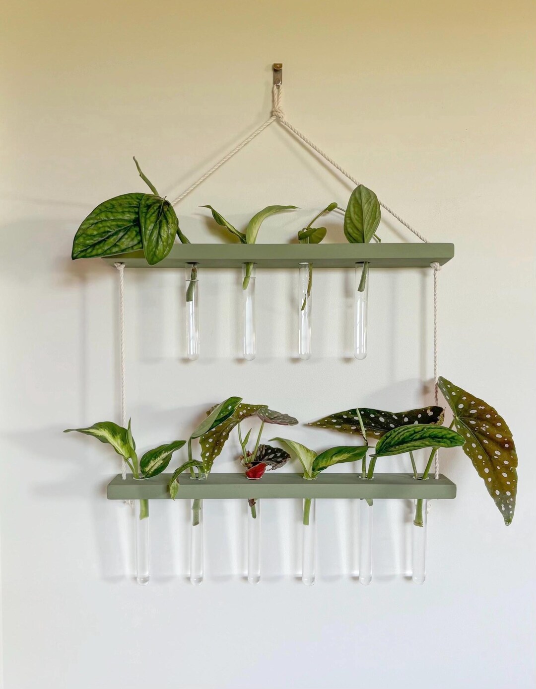 Plant Shelf | Hanging Propagation Rope Shelf | Propagation Station ...