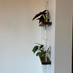 Plant Shelf | Hanging Propagation Rope Shelf | Propagation Station ...