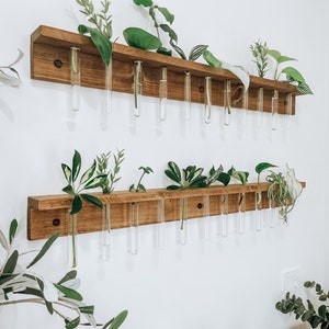 Plant shelf  | propagation station | plant starter with test tubes | plant lover gift | Plant nursery