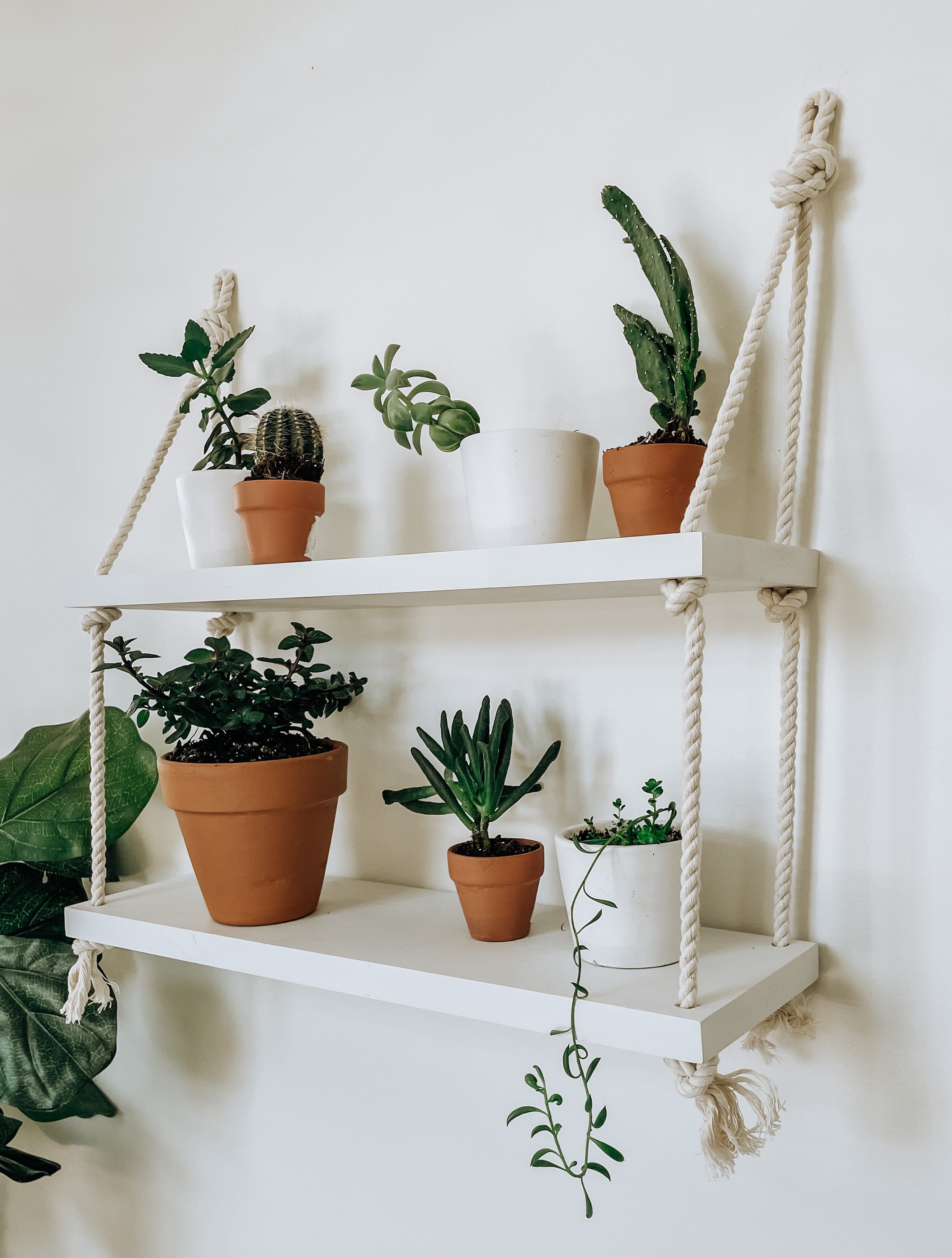 Bathroom hanging wall shelves discount