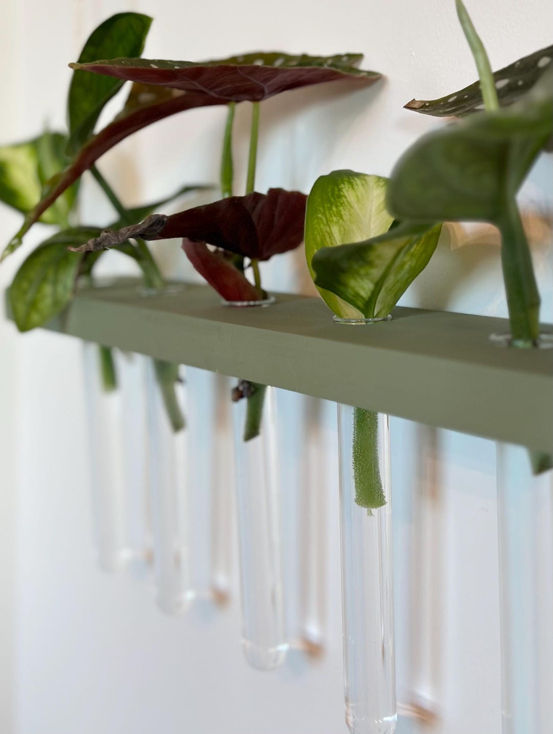 Plant Shelf | Hanging Propagation Rope Shelf | Propagation Station ...