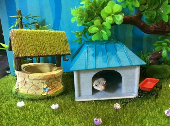 Gecko Lizard Wall Mounted Bungalow House Etsy