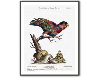 NATURE POSTER AE060 UNDER THE TREES Photo Picture Poster Print Art A0 to A4