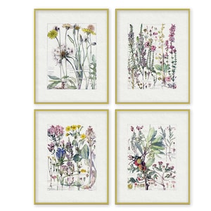 Wildflower Botanic Prints Set of 4 Watercolors Printable English Country Cottage Garden Wild Flowers Digital Print Download Wall Art cx