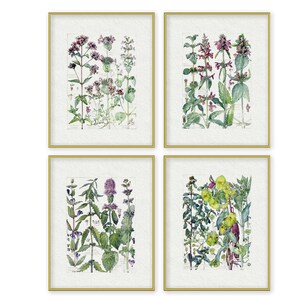 English Country Garden Wildflower Botanic Prints Set of 4 Watercolors Printable Cottage Wild Flowers Digital Print Download Wall Art cx
