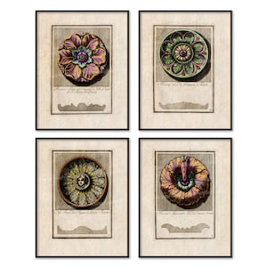 Rosettes Architectural Design Prints 17th Century Printable Digital Download Interior Ornament Decoration Hand Colored Medallion Drawings cn