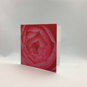 Carte de vœux fleur rose - 14 cm X 14 cm (une fois pliée) - intérieur vierge