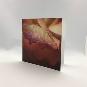 Carte de voeux fleurie - 14 cm X 14 cm (une fois pliée) - vierge à l'intérieur