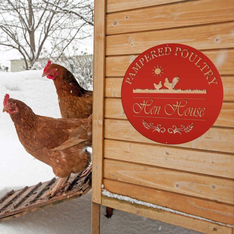 Chicken coup sign, Custom Outdoor Metal Sign for a Chicken run! Red