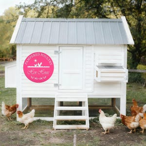 Chicken coup sign, Custom Outdoor Metal Sign for a Chicken run! Pink