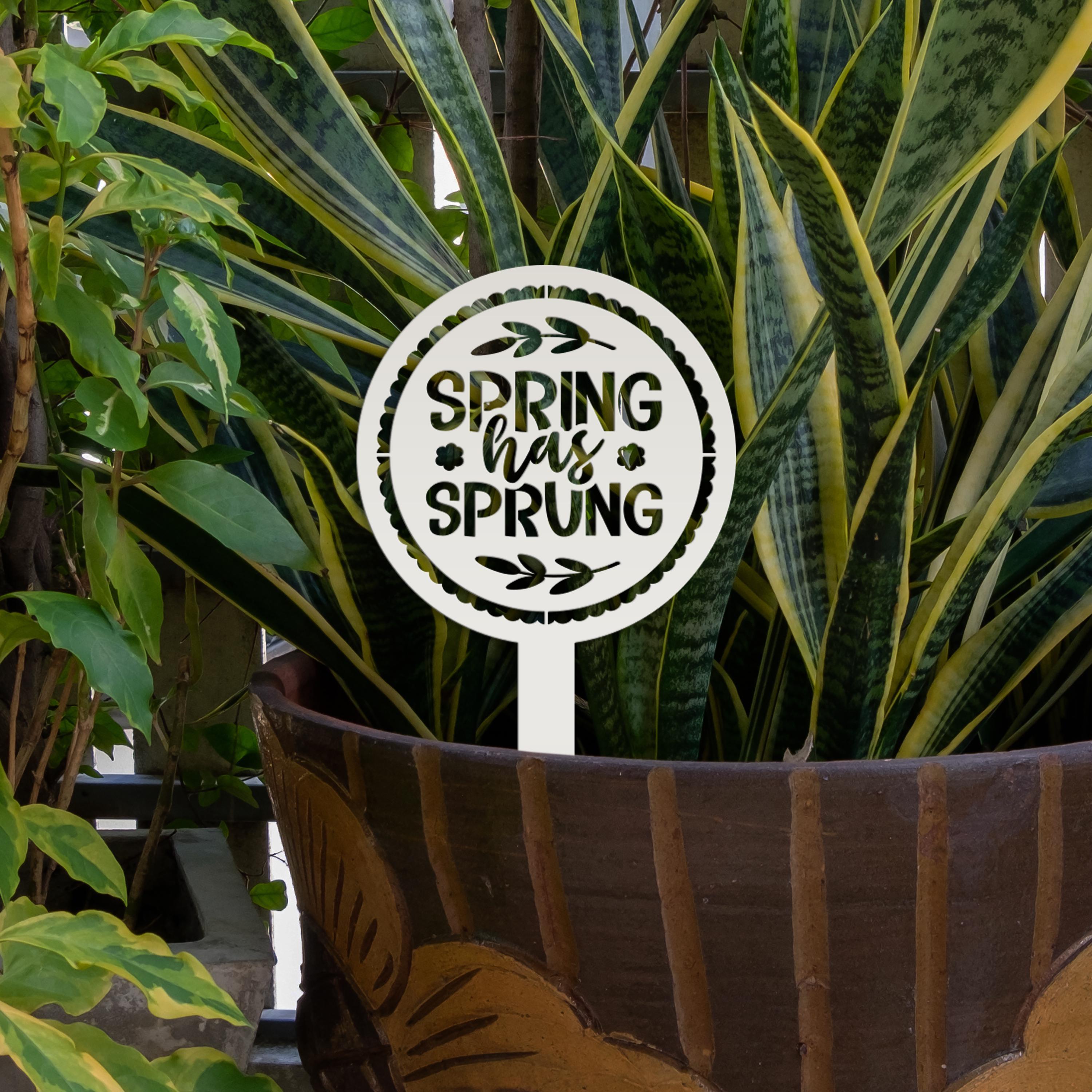 Metal Spring Has Sprung Yard Stake - Outdoor Spring Decor - Etsy