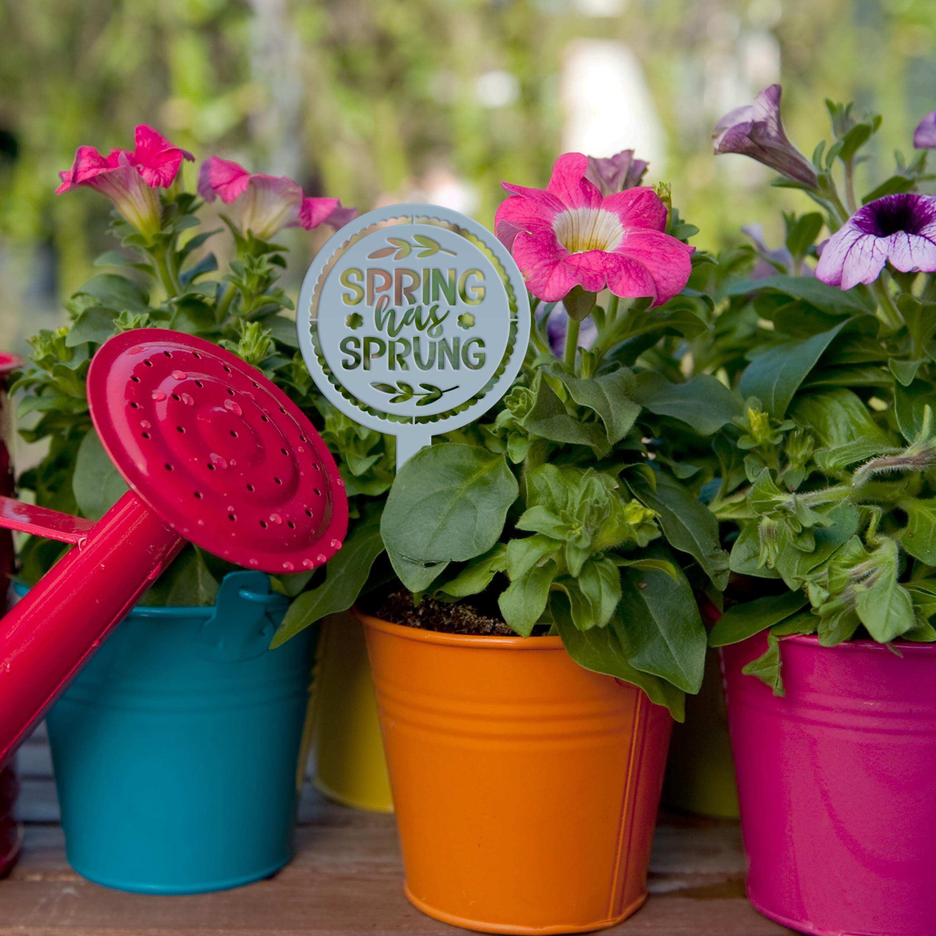 Metal Spring Has Sprung Yard Stake - Outdoor Spring Decor - Etsy
