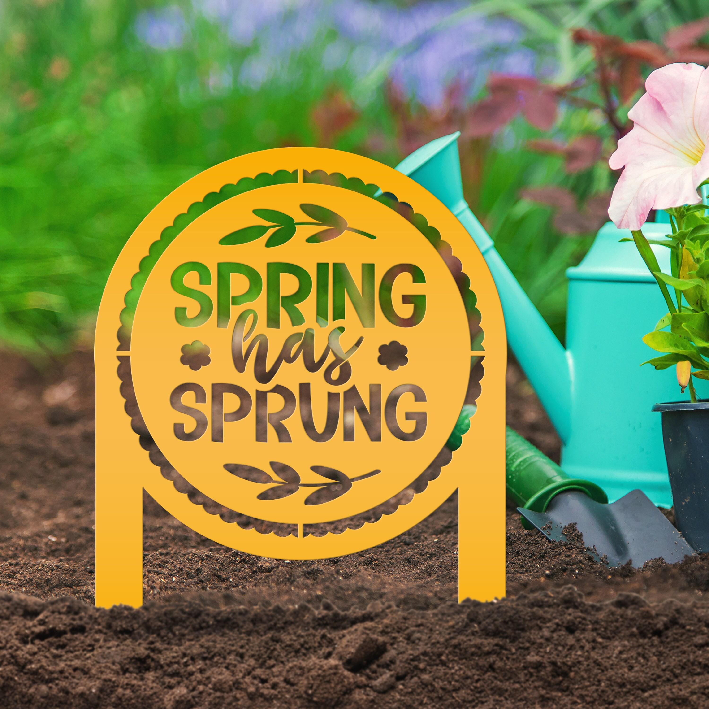 Metal Spring Has Sprung Yard Stake - Outdoor Spring Decor - Etsy
