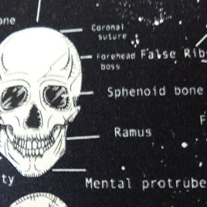 Skull pencil case, skull makeup bag, anatomy bag, skeleton bag, glow in the dark, school supplies , gift, birthday present image 6
