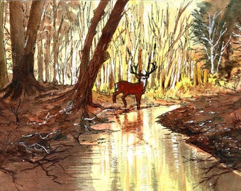Deer In The Woods, Nature Art  (11 x 14 Signed, Matted Watercolor Print)