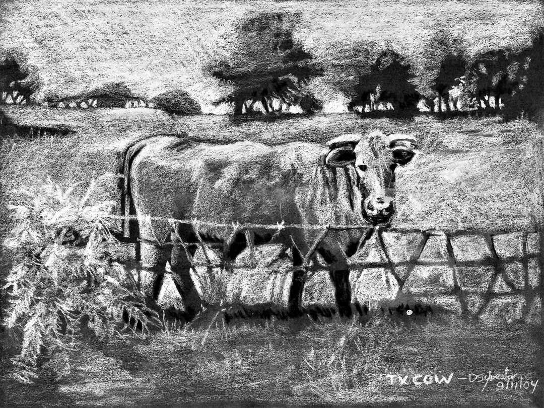 Cow Grazing on Texas Ranch, Texas Ranch Art, Western Wall Decor