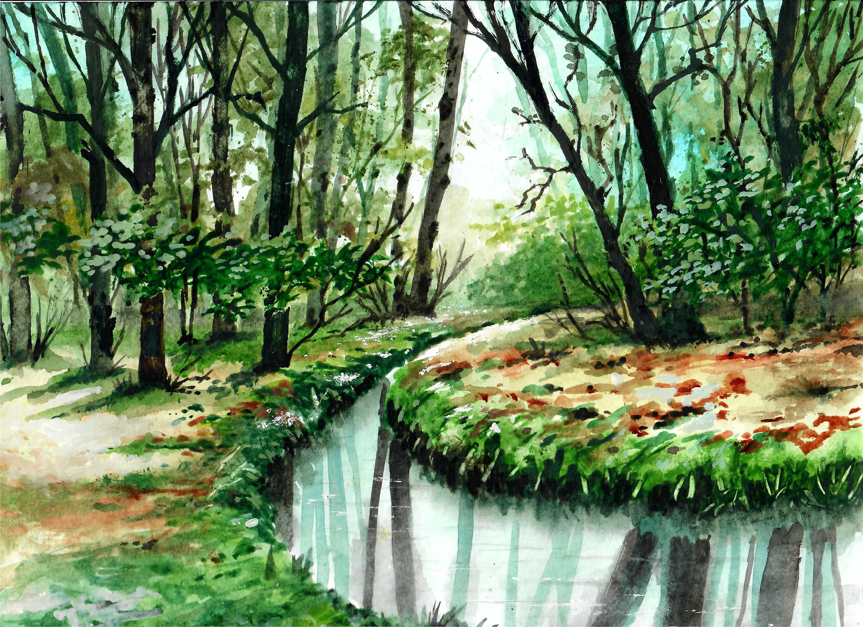 Creek Through The Forest, Forest Art, Beautiful Trees, Forest Creek