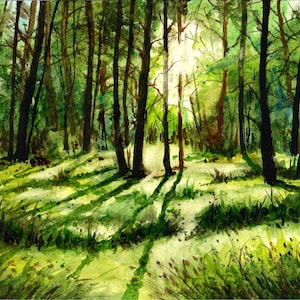 Sunlight Through Forest Trees, Green Trees, Forest Art, Forest Wall Decor, Beautiful Sunlight, Sunlight Through The Trees, Sunlight In Woods