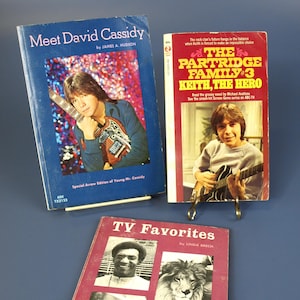 Vintage 1970er Jahre Die Partridge Familie #3 Keith Der Held / Treffen David Cassidy / TV Favoriten Softcover Bücher in sehr gutem Zustand