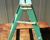 Vintage Wood Step Stool Painted Green dubs as Plant Stand or Shelving
