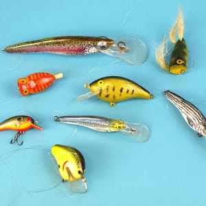 Bagley Crankbait - Etsy