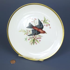 Vintage Hutschenreuther Audubon Scarlet Tanger Bird Porcelain Salad Plate Made in Germany - 8&quot; diameter